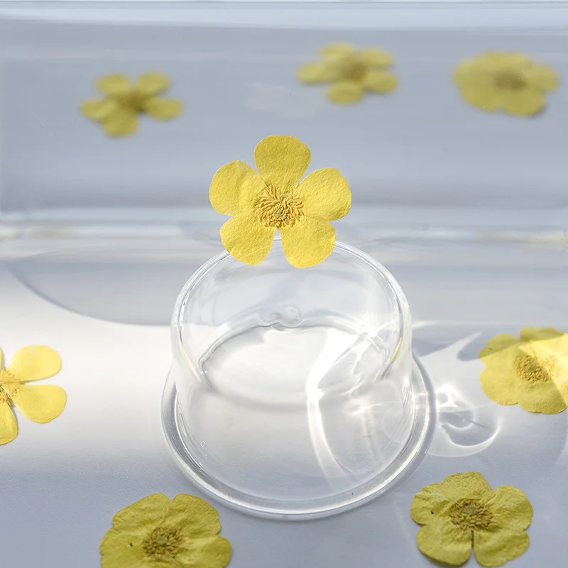 100Pcs Bunga Ranunculus Kering - Dried Flower Bookmark ulasan dan harga